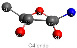 O4 endo