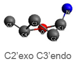 C2 exo C3 endo